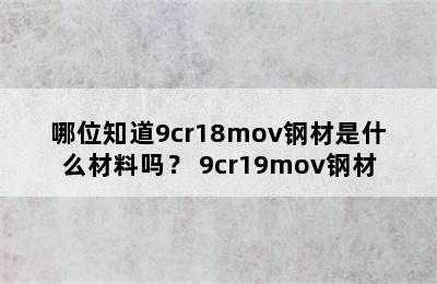 哪位知道9cr18mov钢材是什么材料吗？ 9cr19mov钢材